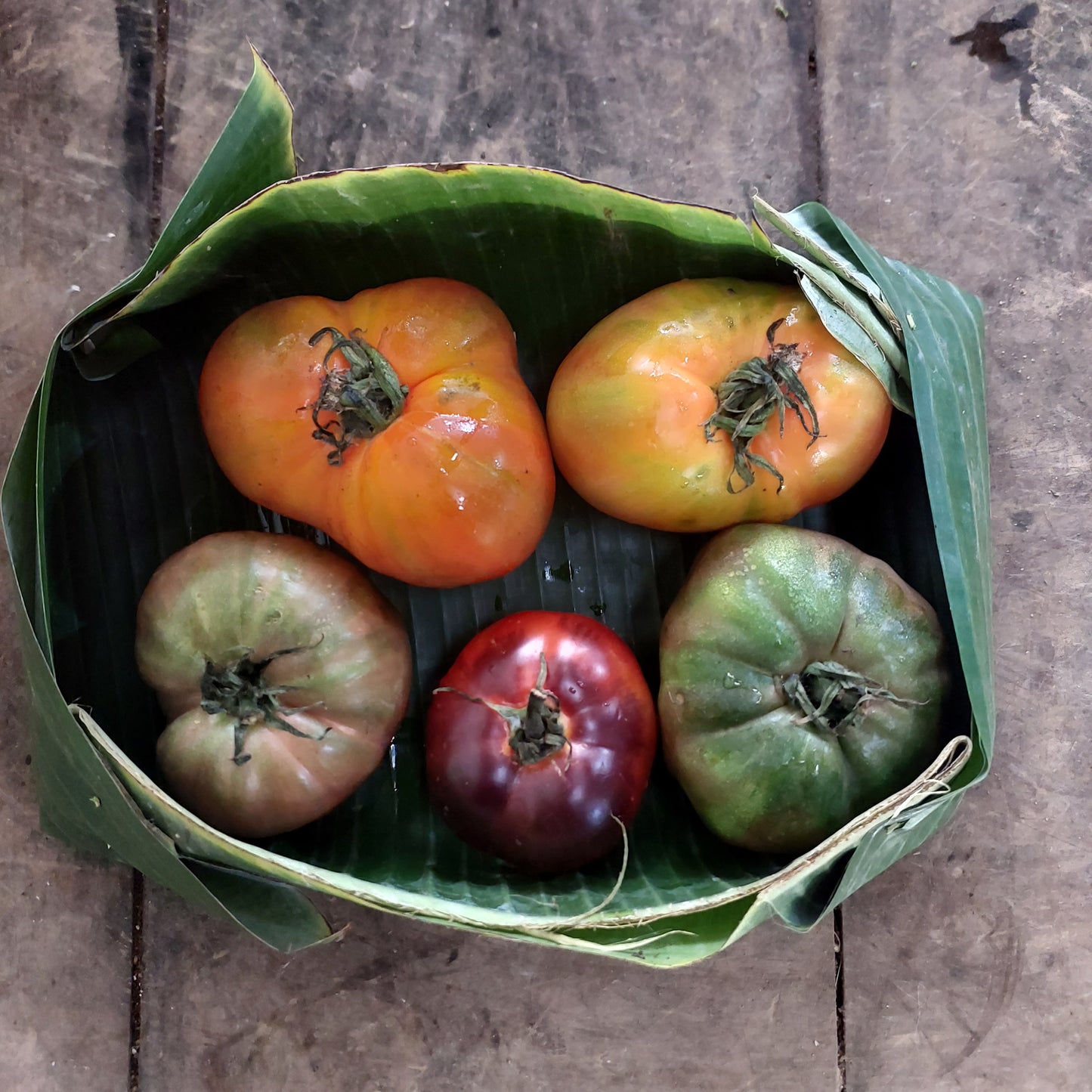 Tomato Heirloom Mix - 1 kg