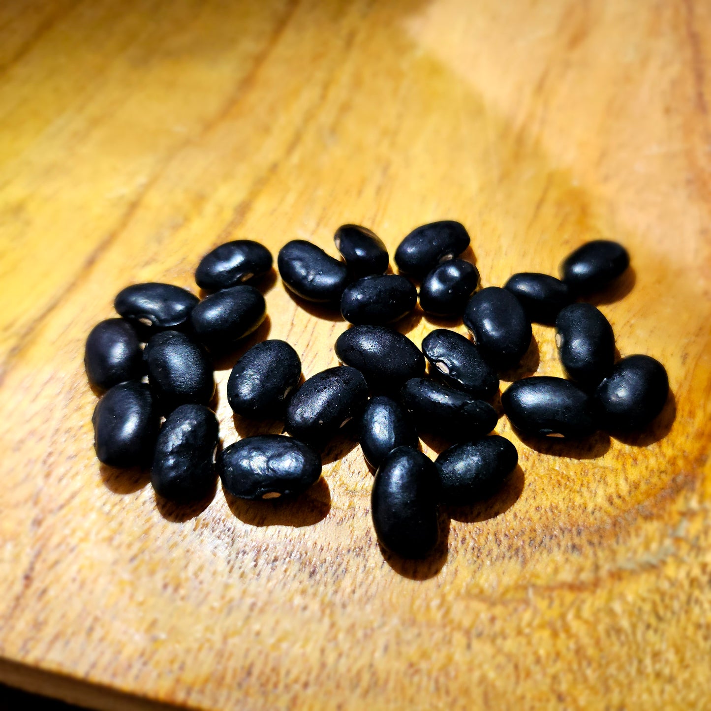 Shelling Beans - Black Turtle