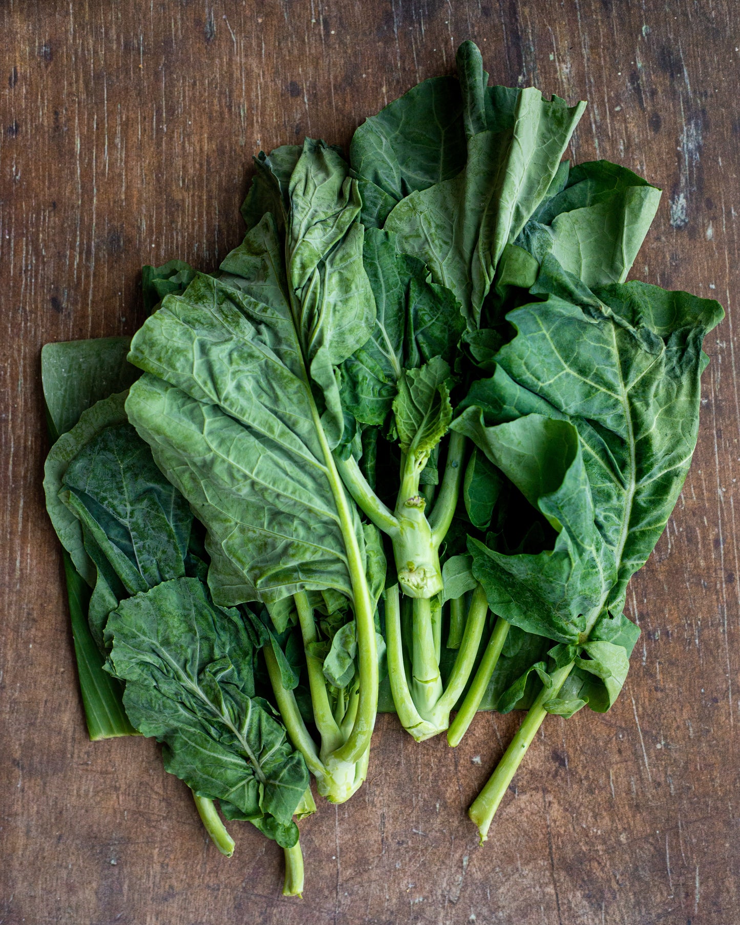 Kale, Kai lan / Chinese Broccoli