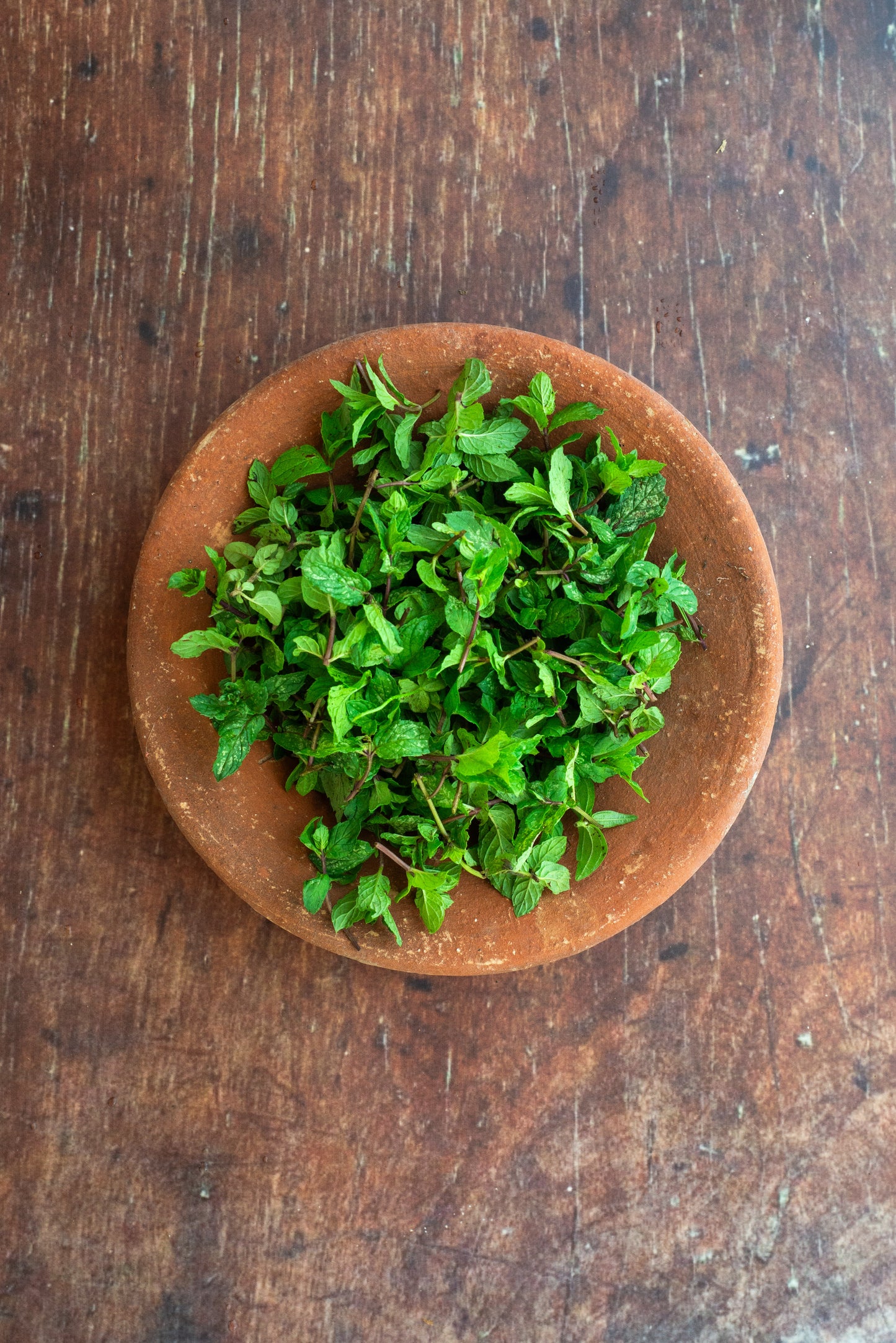 Mint - Peppermint