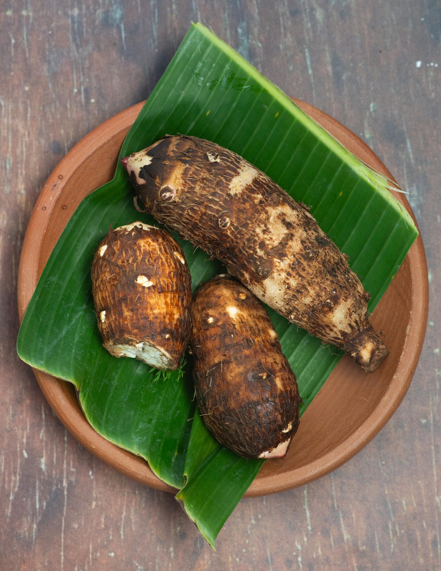 Cassava / Yucca Roots