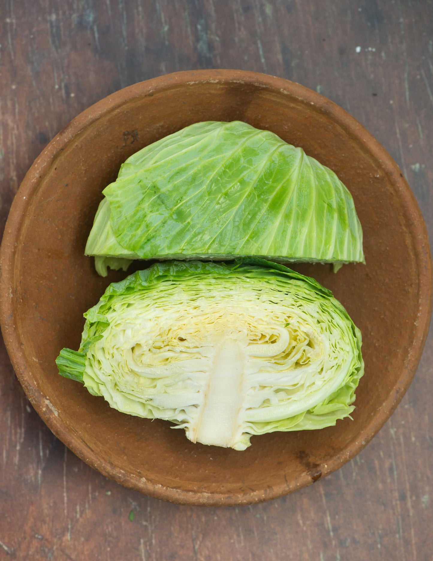 Cabbage, Green