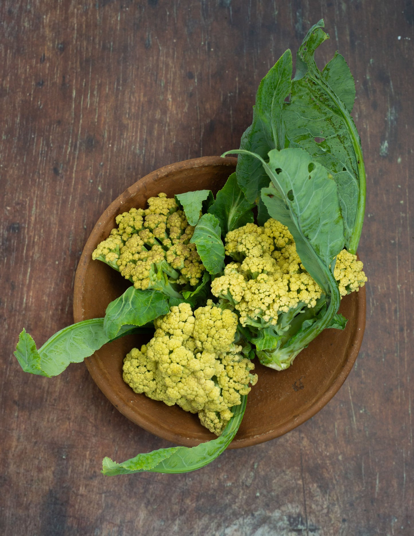 Cauliflower