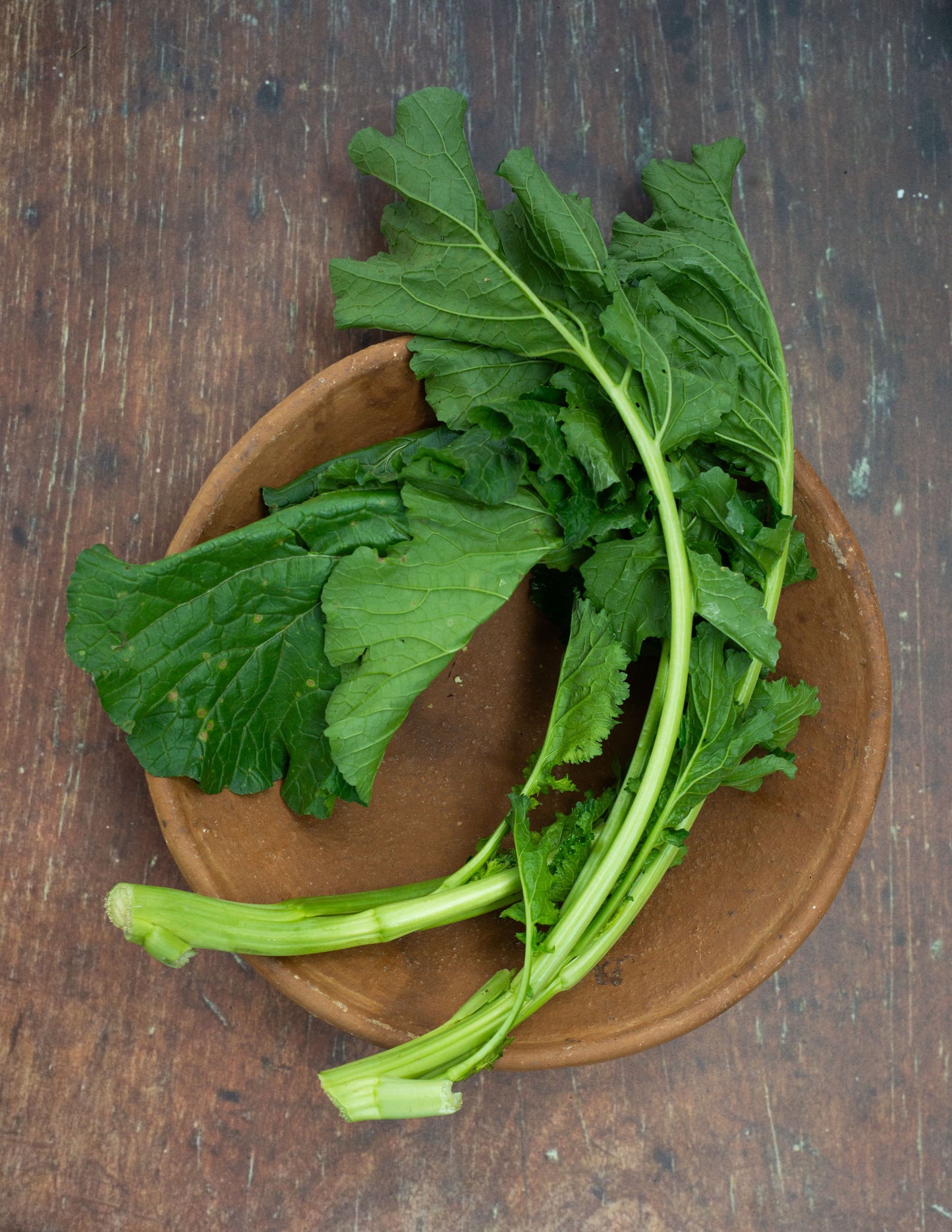 Broccoli Raab / Rapini/ Rabe