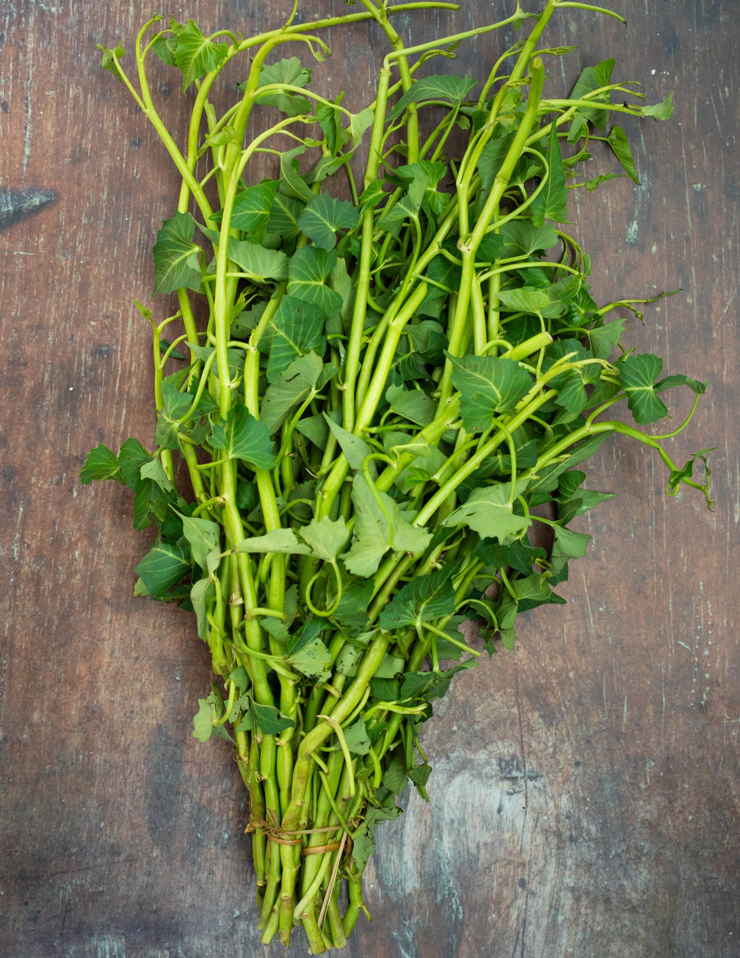 Water Spinach / Kangkung