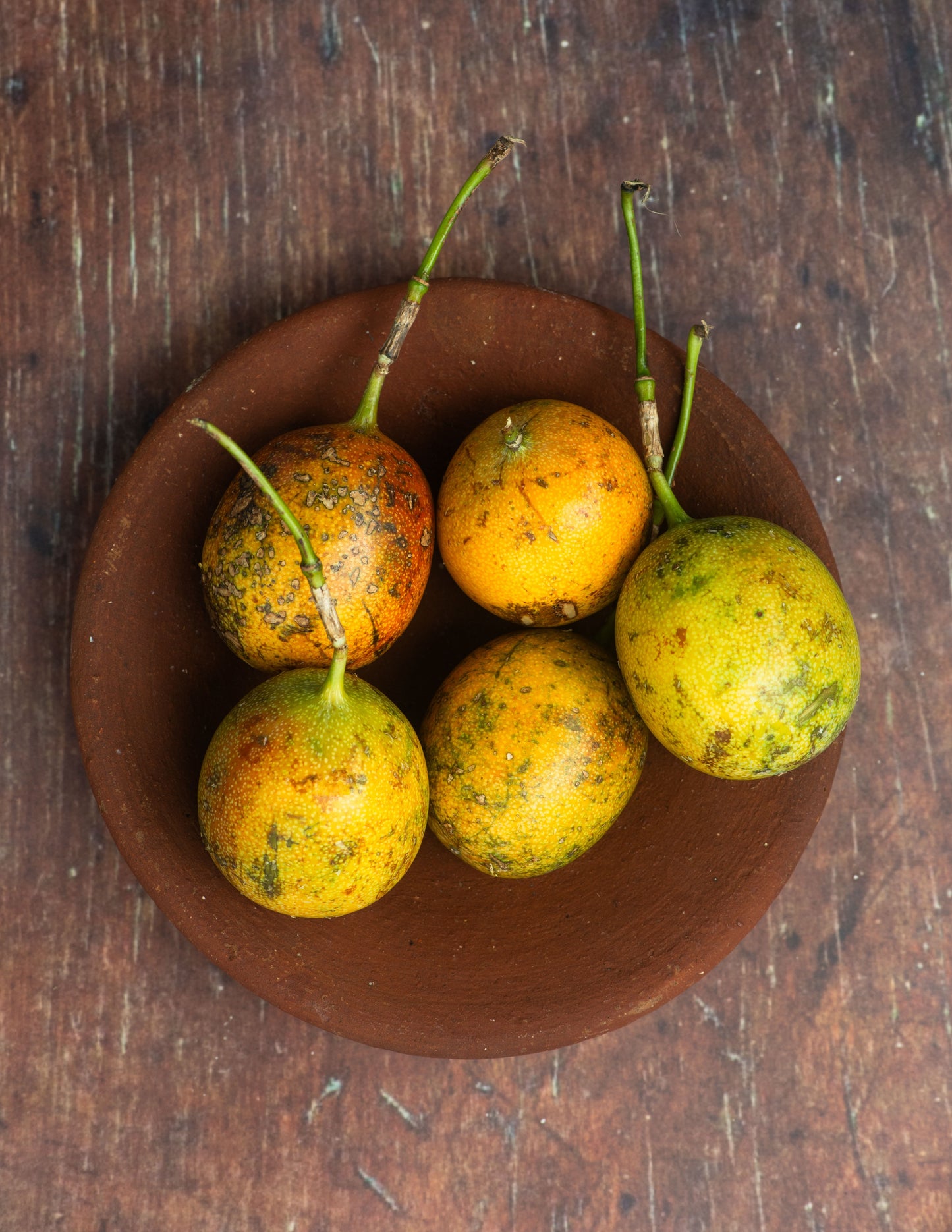 Passion Fruit, Marquisa