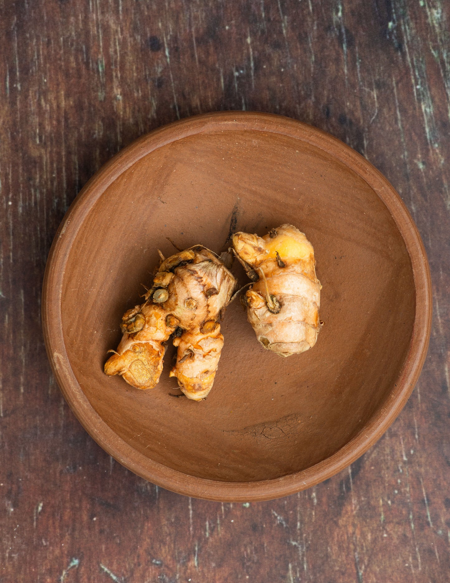 Temulawak, Javanese Turmeric