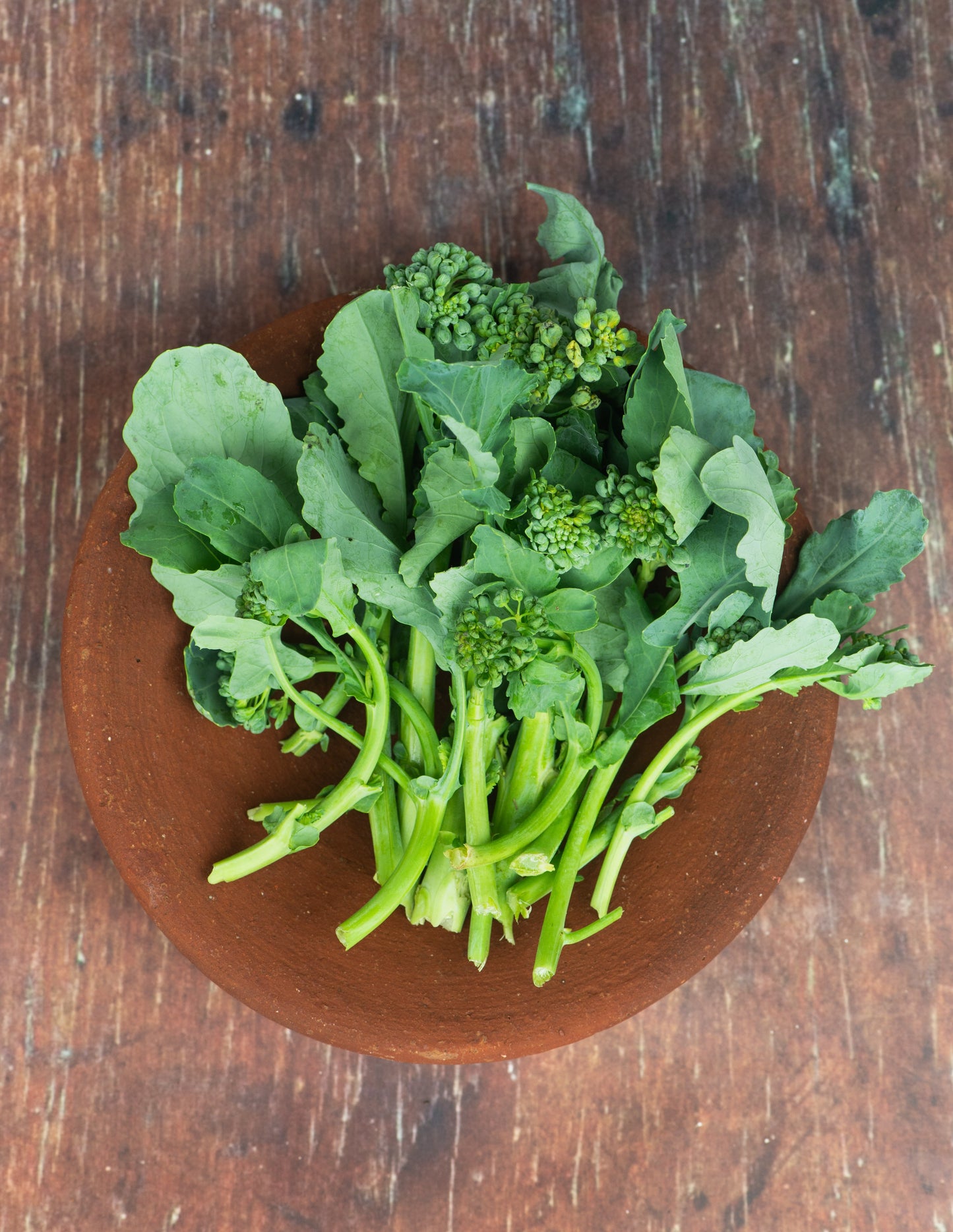 Broccolini