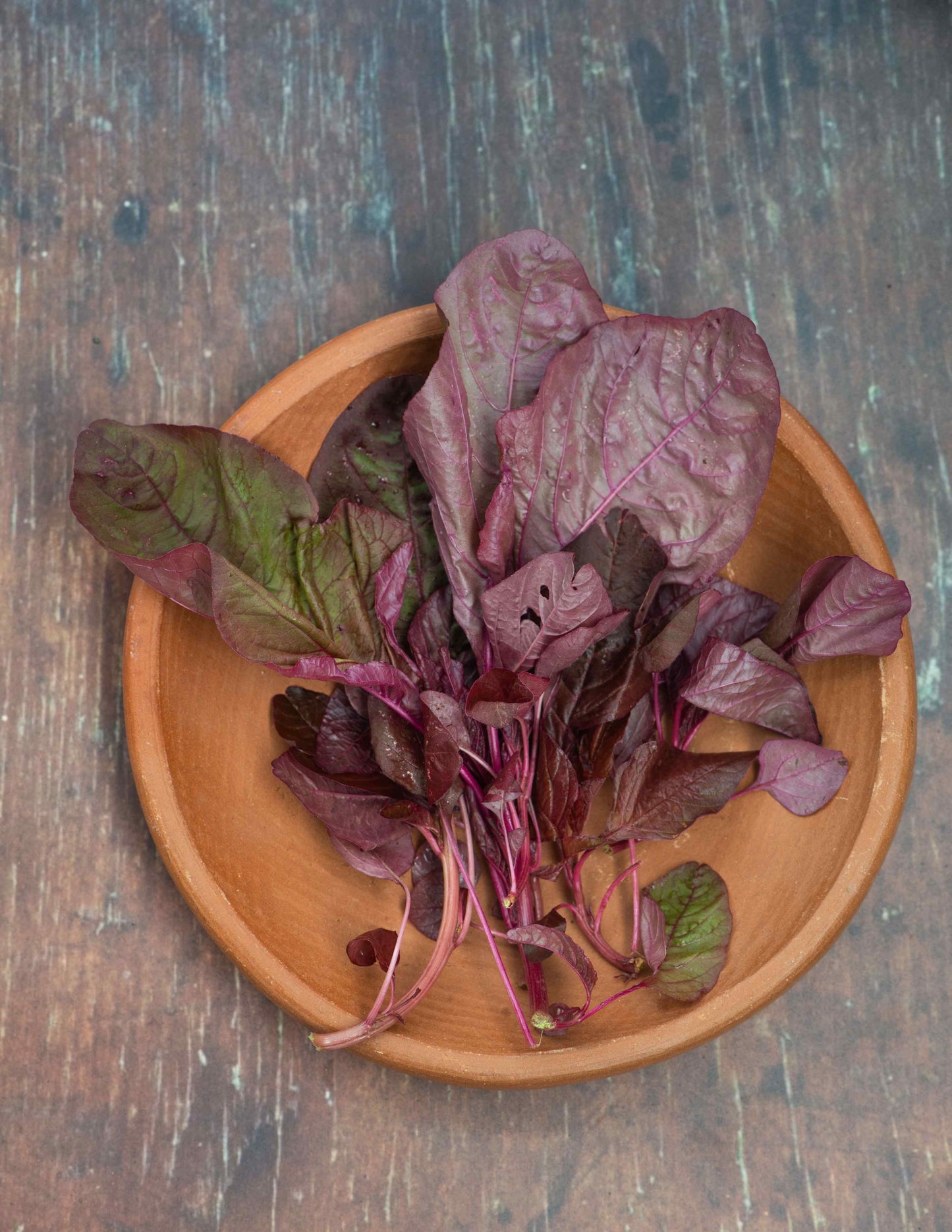 Spinach, Amaranth Red / Bayam