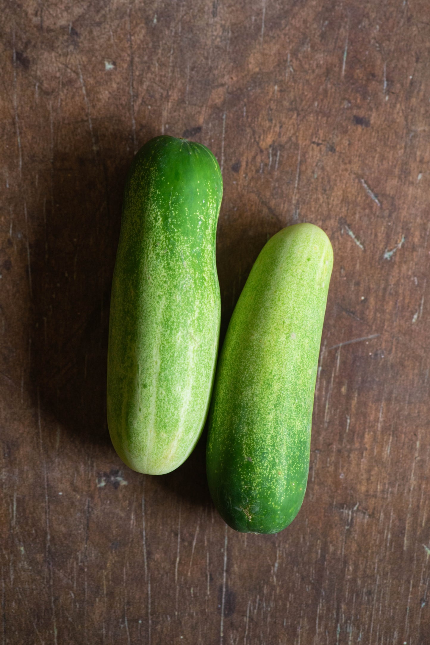 Cucumber - Light Green Stripes