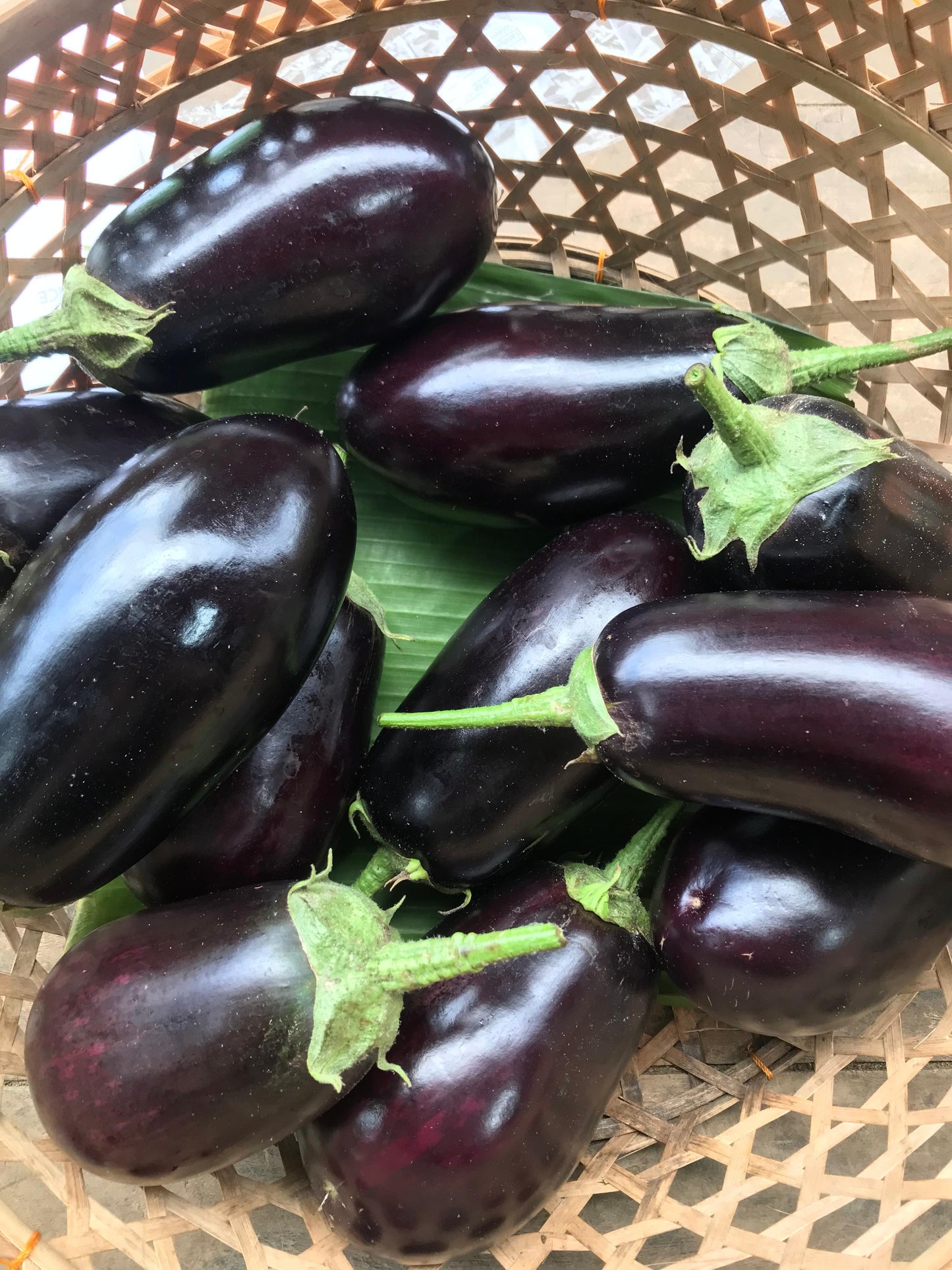 Eggplant, Italian