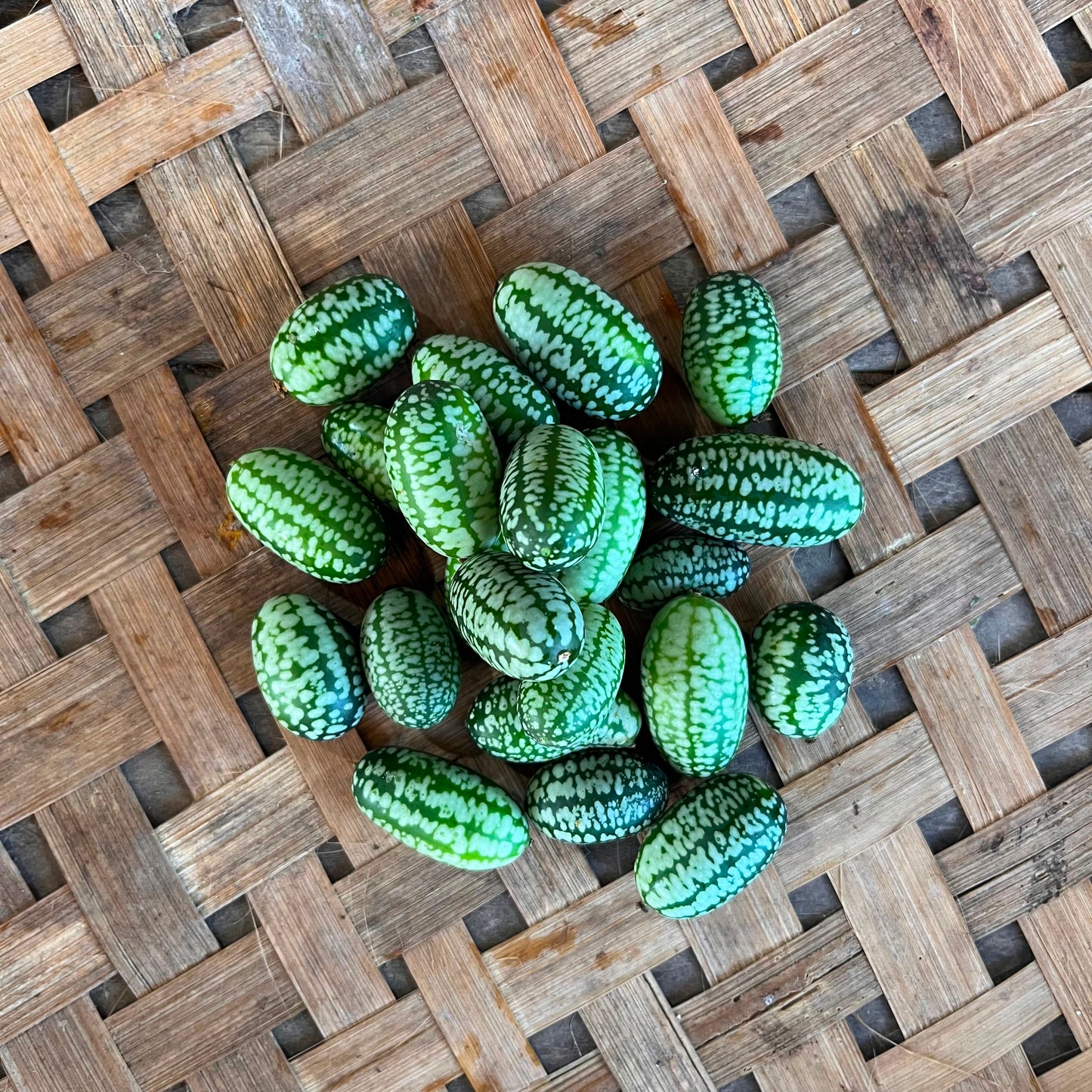 Cucamelon - Mexican Mini Cucumber