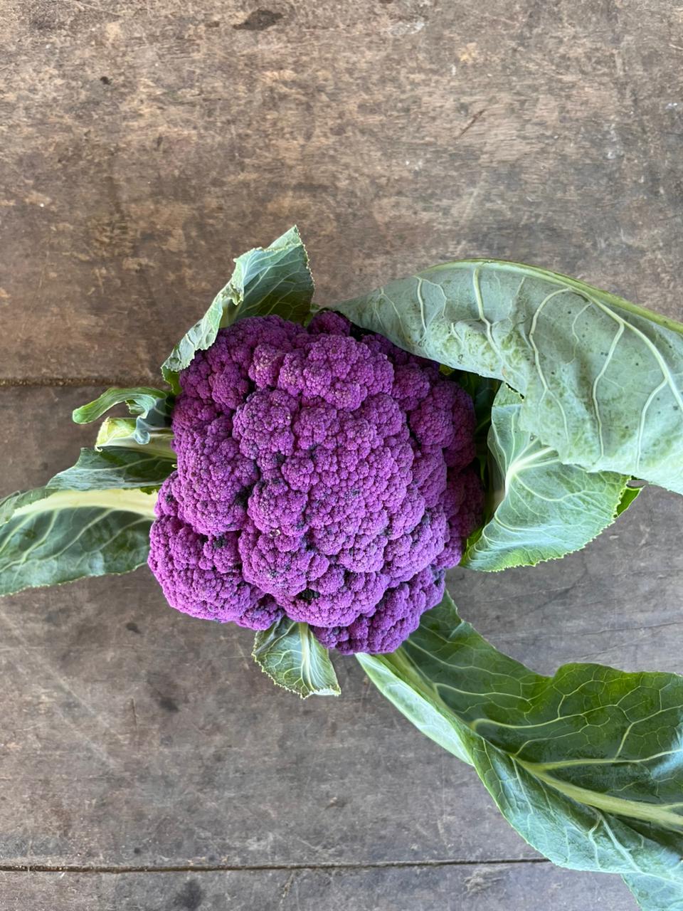 Cauliflower - Purple