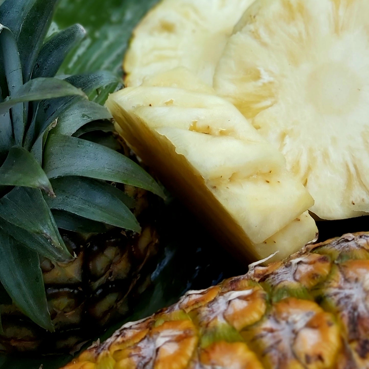 Pineapple - Honey