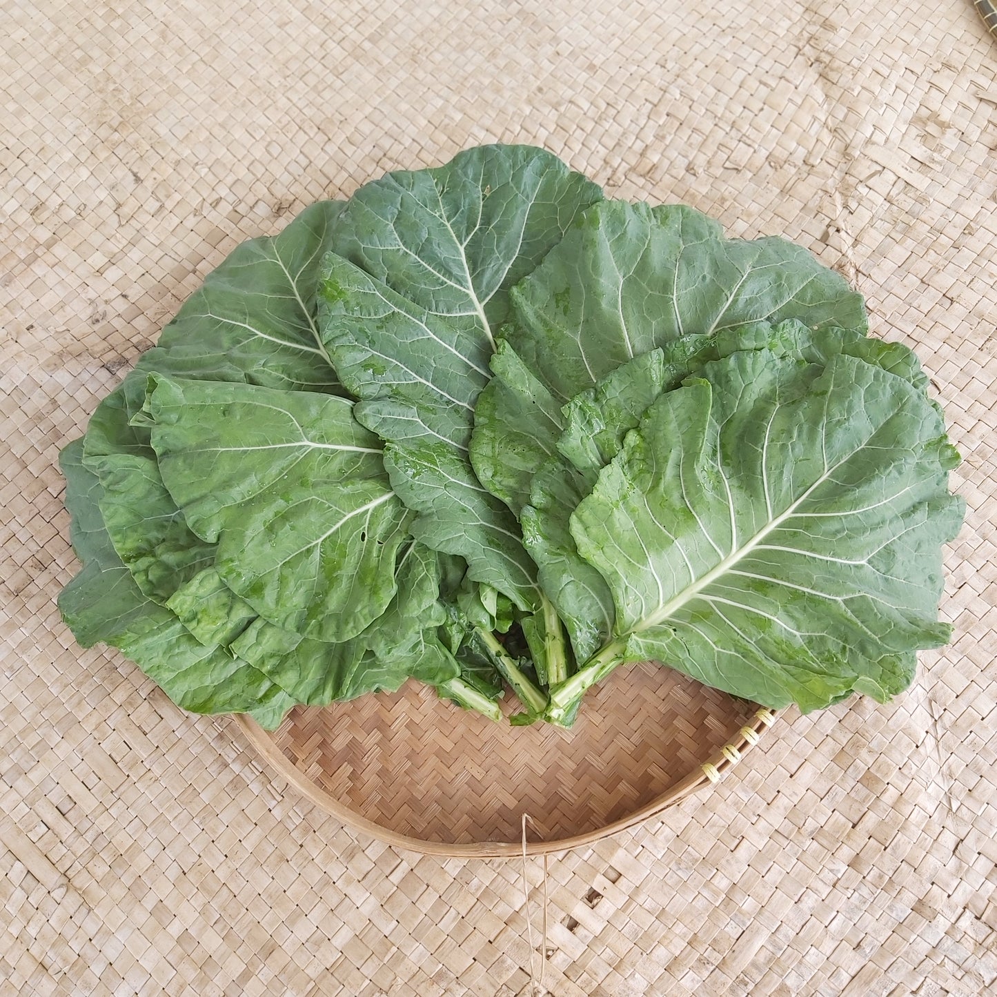 Collard Greens