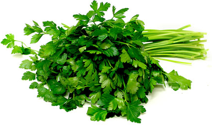 Parsley - Italian/ Flat Leaf