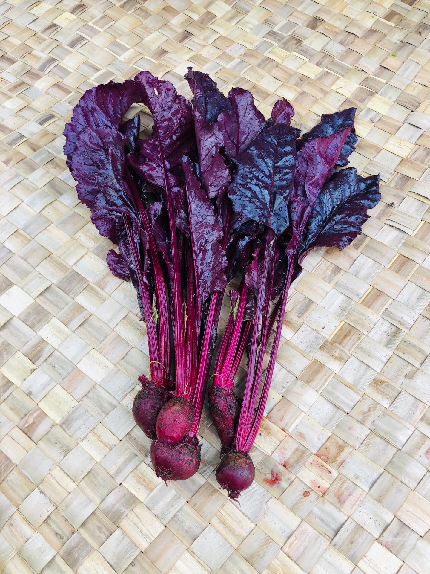 Beetroot - Deep Red - Baby