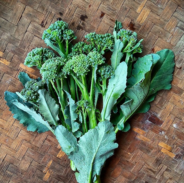 Broccolini