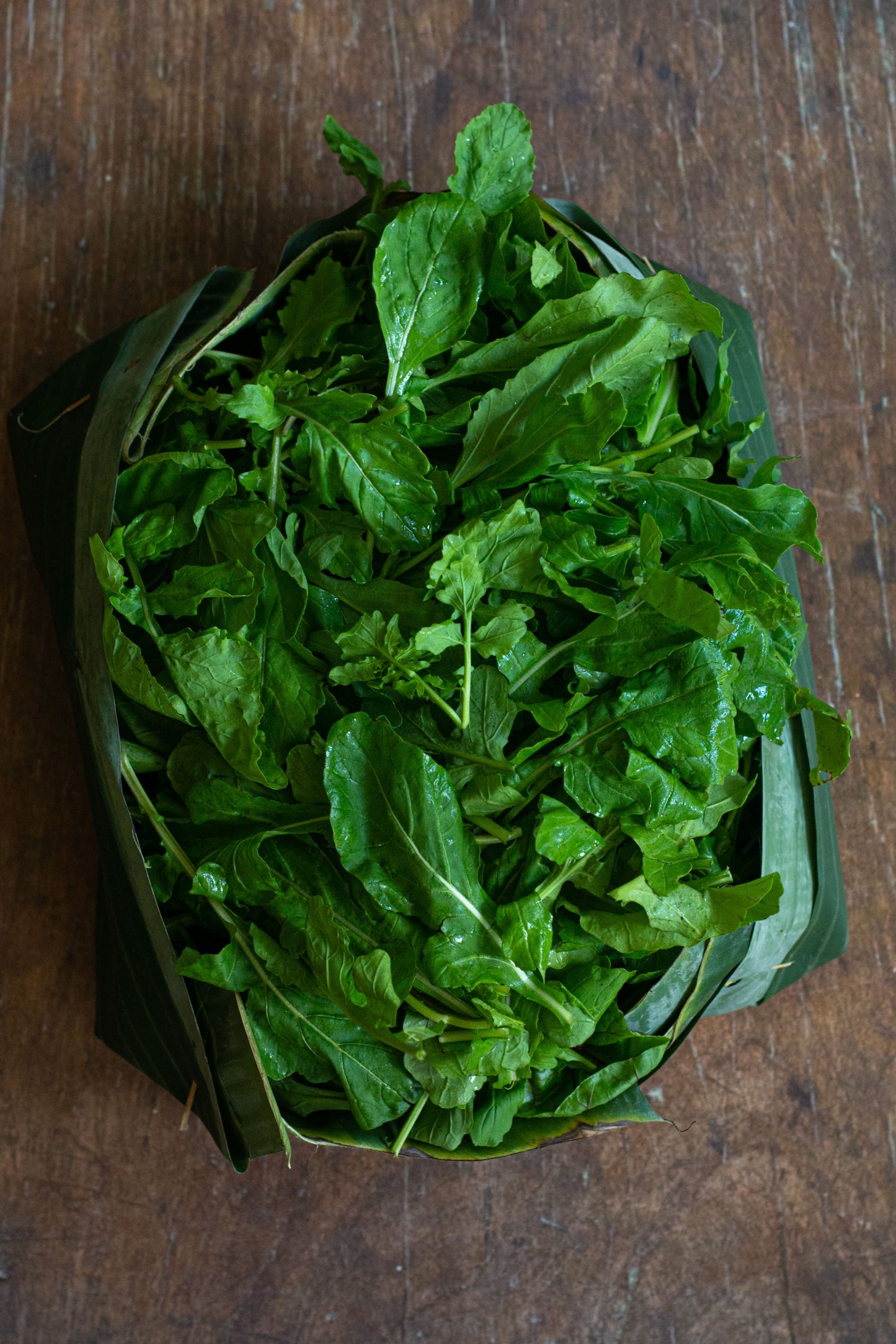 Arugula Rucola/Rocket/Roquette