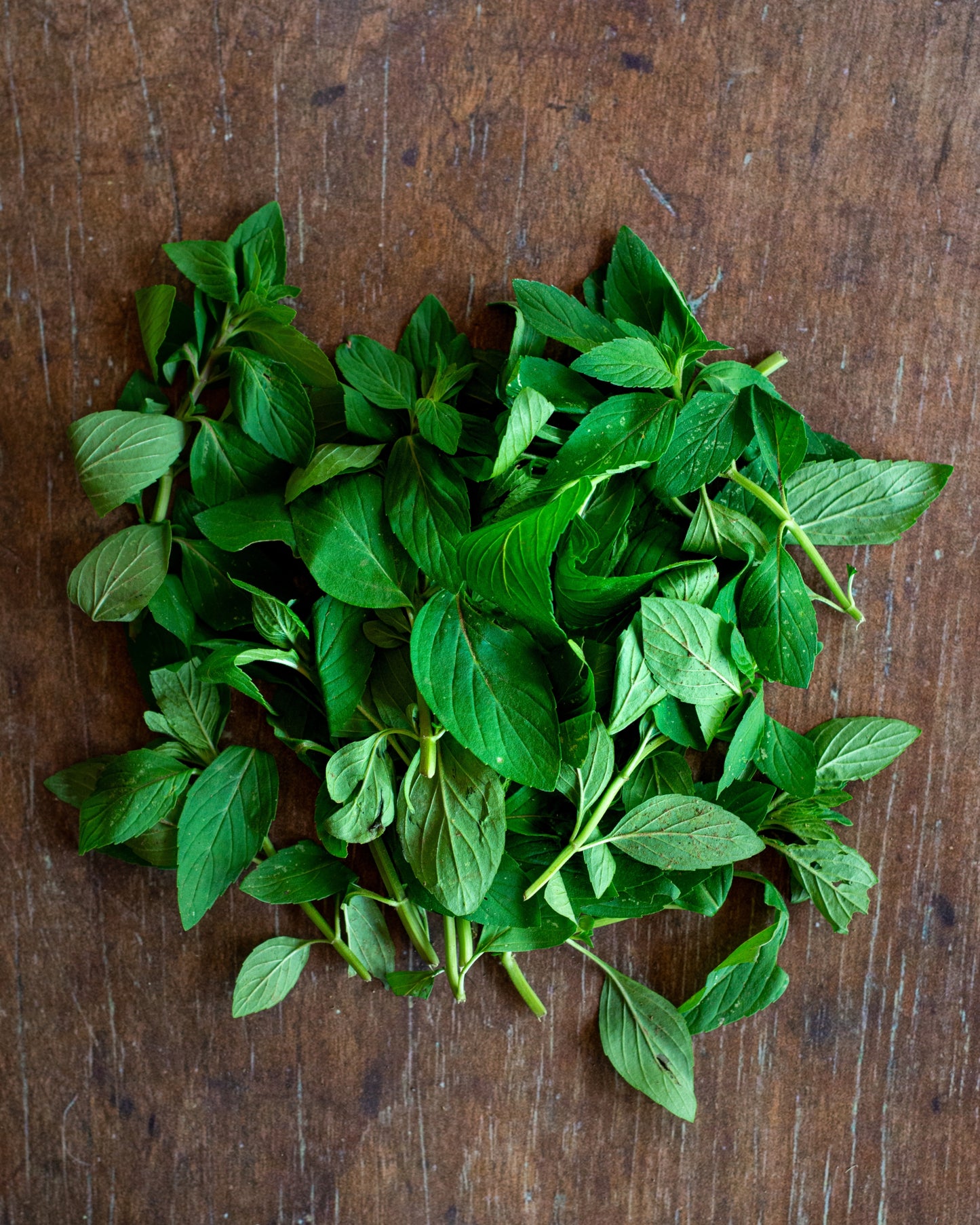 Mint - Australian