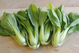 Asian Greens, Bok Choy - Shanghai Type Green