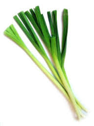 Onion Leaf, Leek