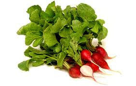 Radish, Red