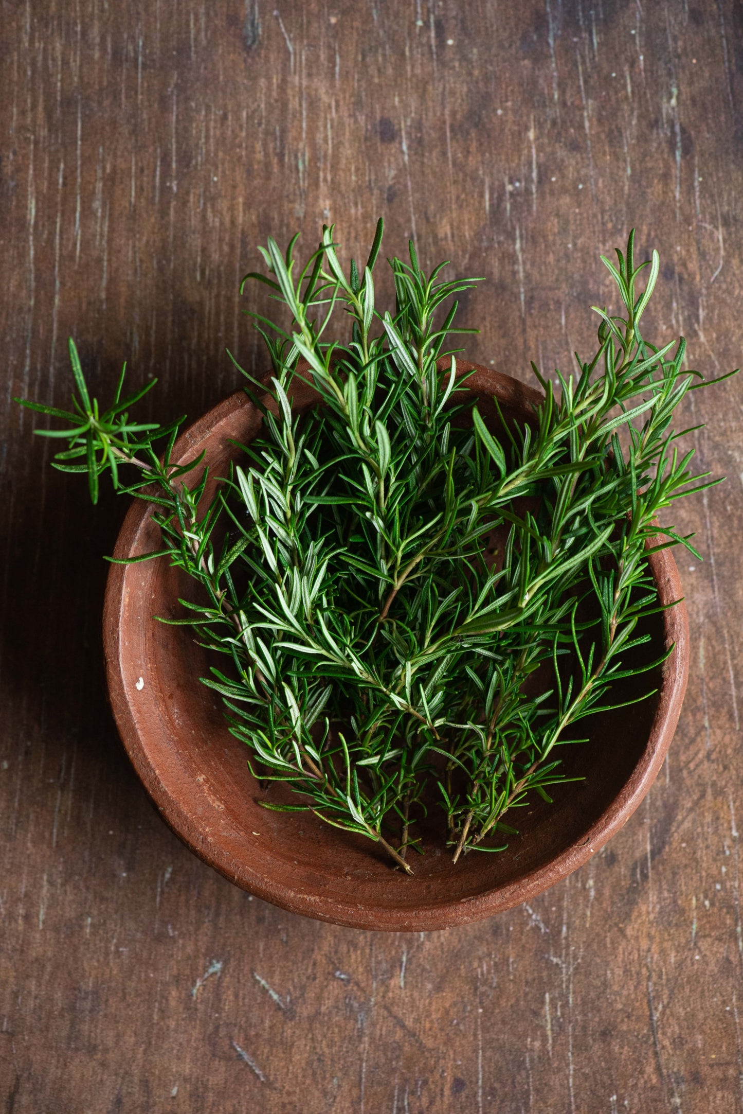 Rosemary