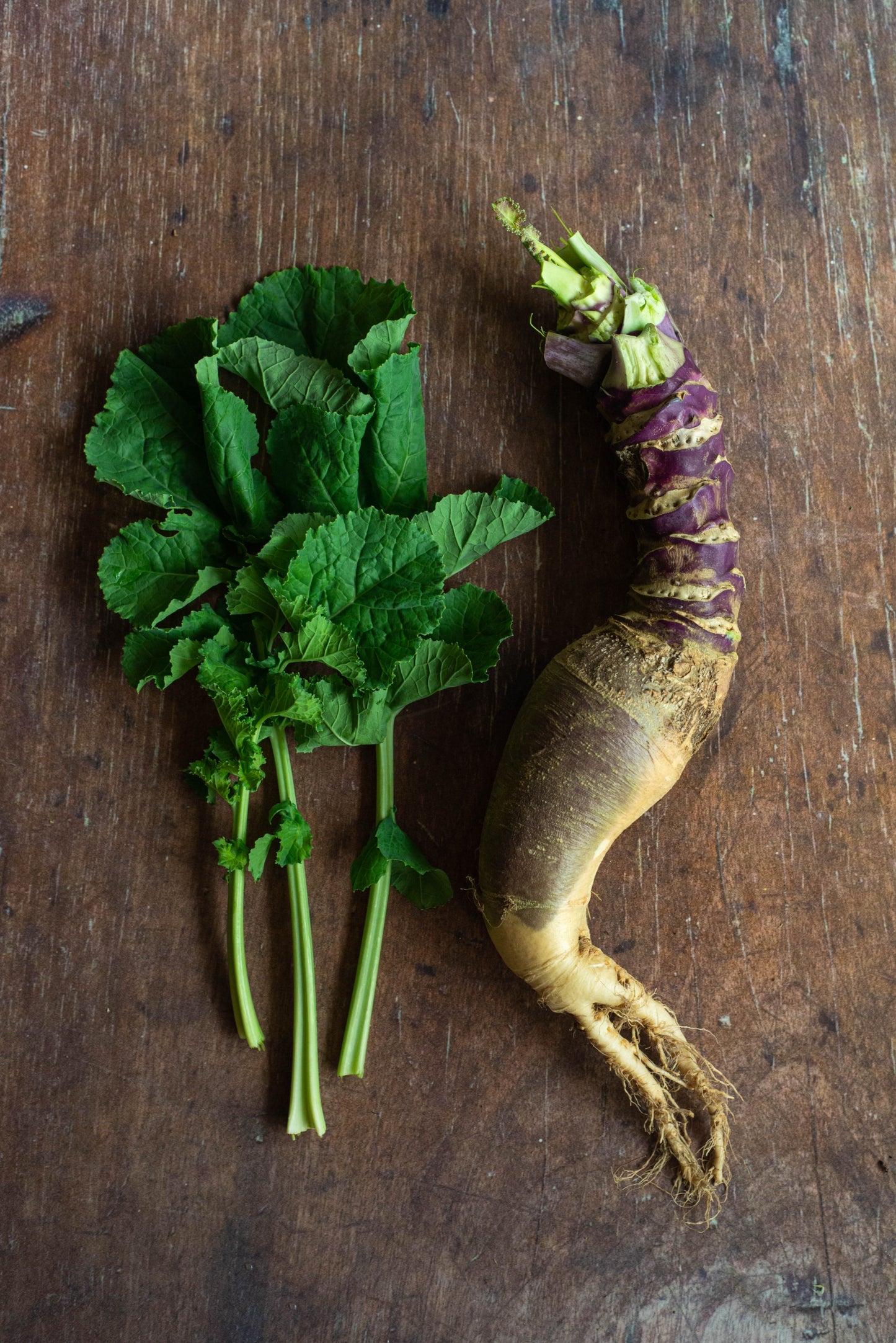 Rutabaga