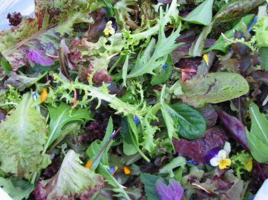 Salad Mix Spicy