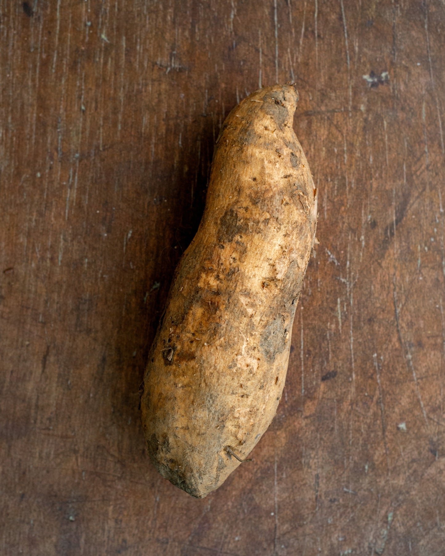 Sweet Potato - Orange