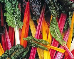 Swisschard, Rainbow