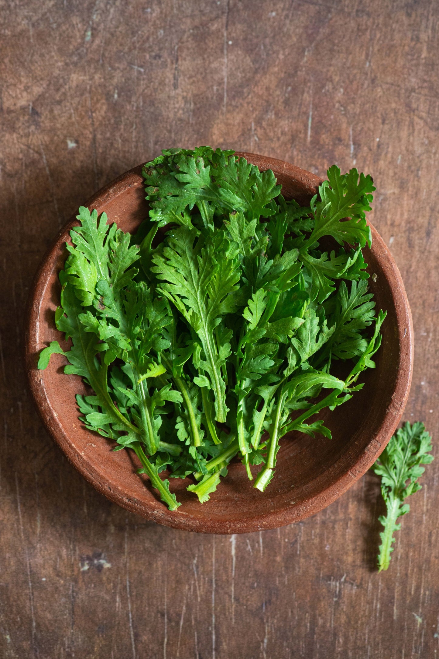 Chrysanthemum Greens, Shungiku