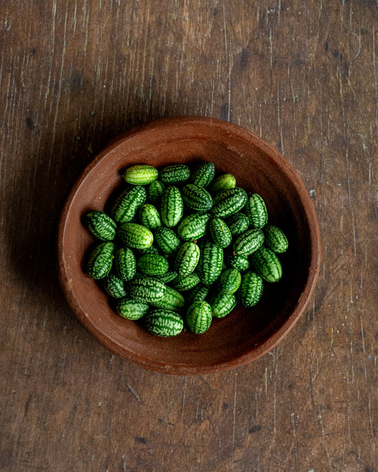 Cucamelon - Mexican Mini Cucumber
