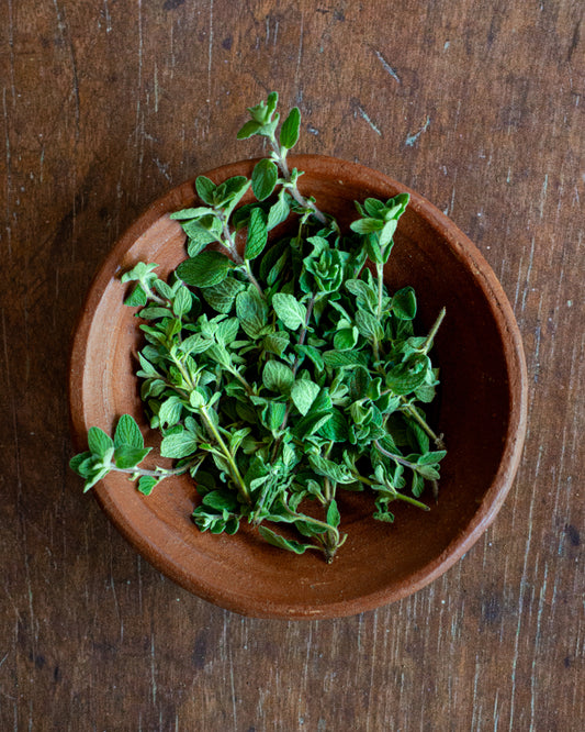Oregano - Za'atar