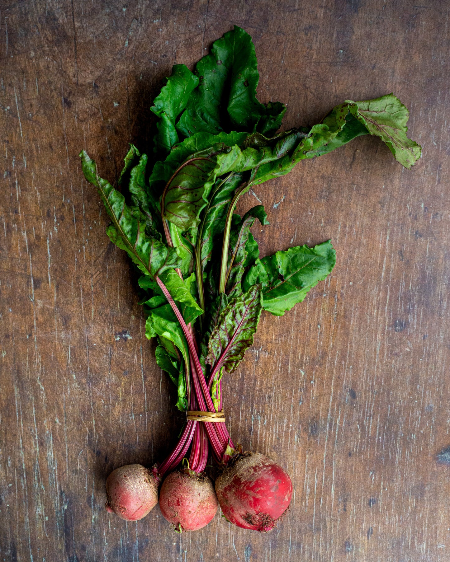 Beetroot, Candystripe