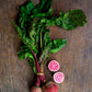 Beetroot, Candystripe