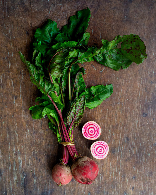 Beetroot, Candystripe