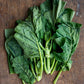 Kale, Kai lan / Chinese Broccoli