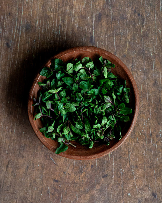 Mint - Peppermint - Chocolate Mint