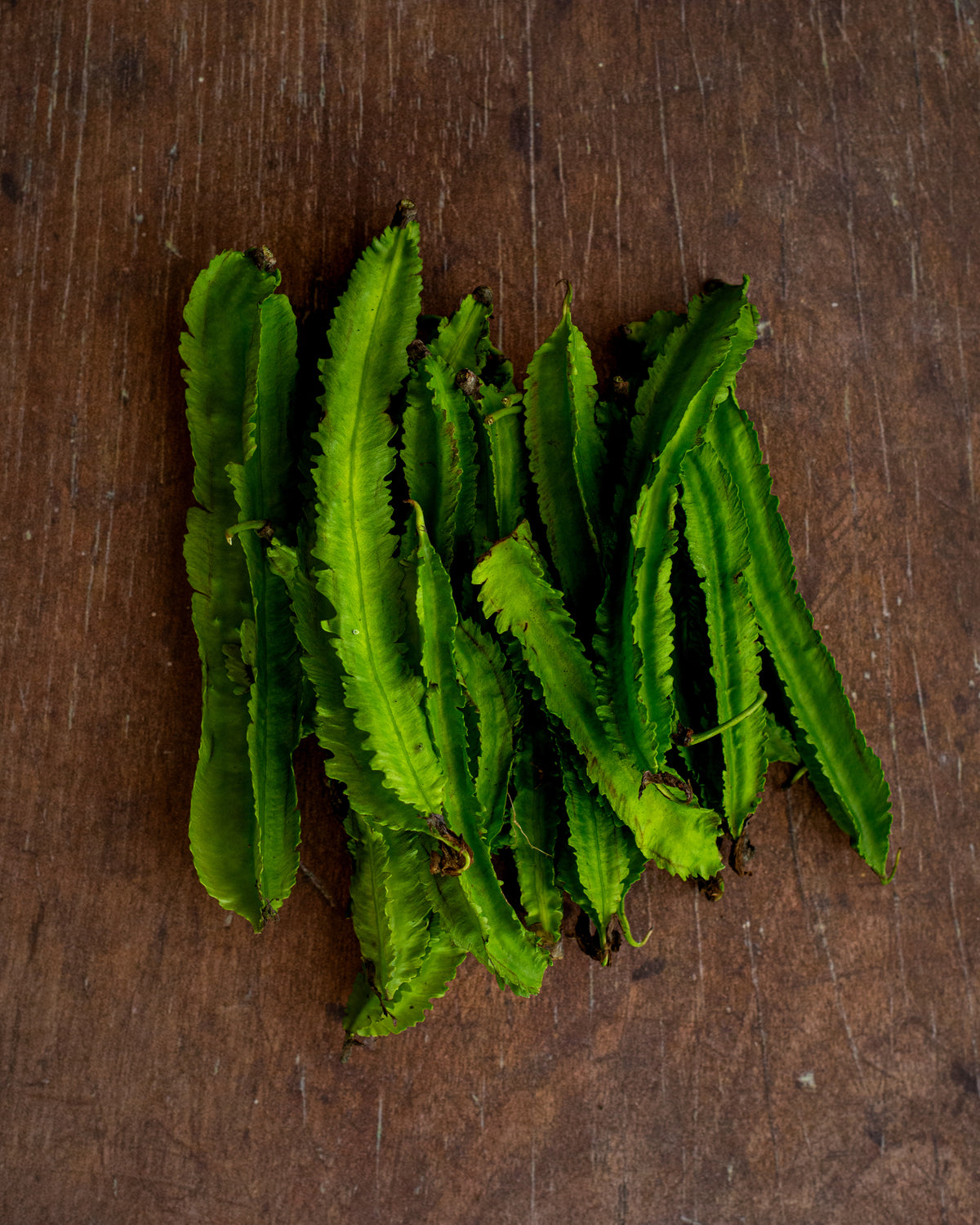 Beans - Winged