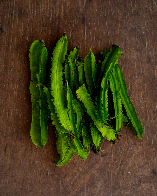 Beans - Winged