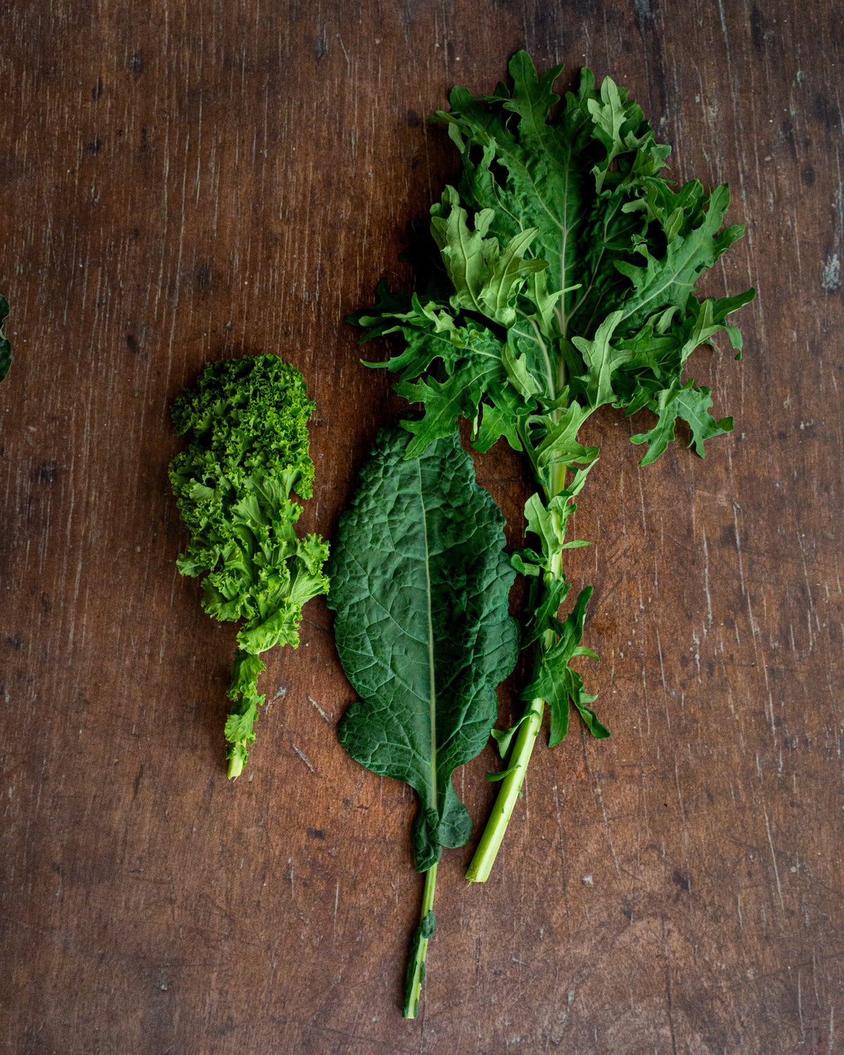 Kale - Premium Bunch