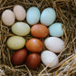 Eggs - Free Range - Chicken - Heritage