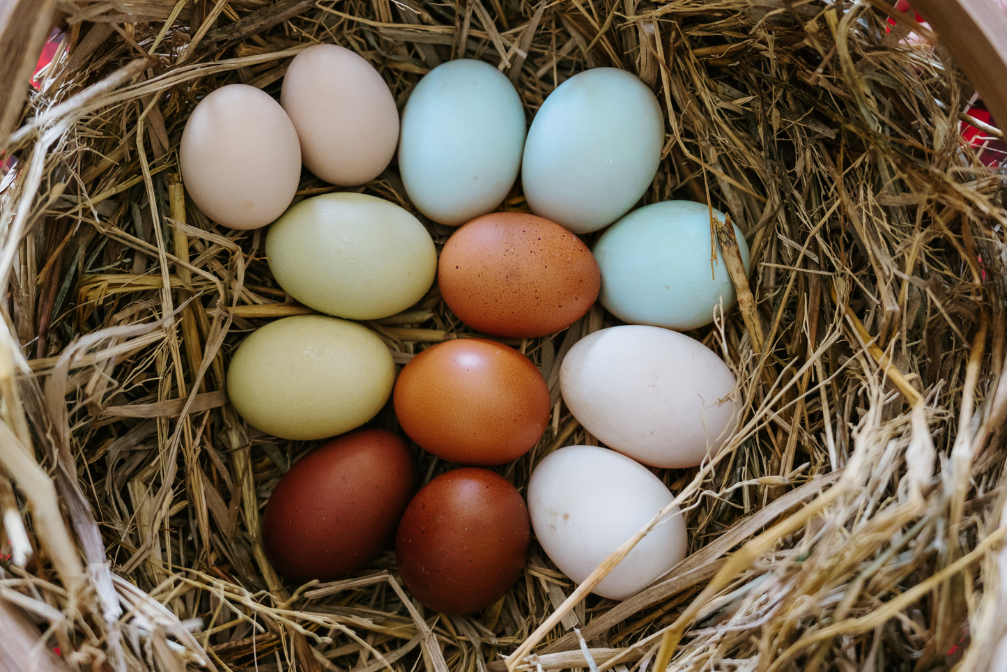 Eggs - Free Range - Chicken - Heritage