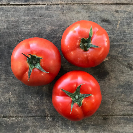 Tomato, Beef Red