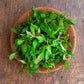 Coriander - Vietnamese - Laksa Leaf