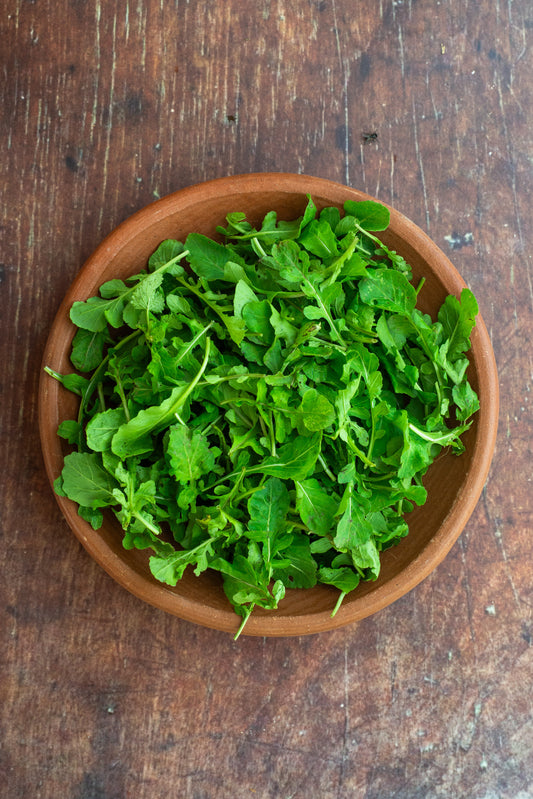 Arugula - Baby