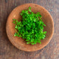Chervil