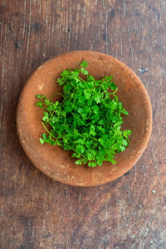 Chervil